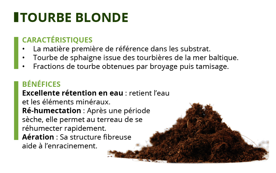 tourbe blonde